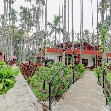 Ezzenza Areca Resort 马迪凯里 外观 照片