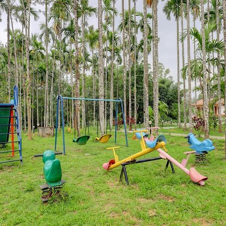 Ezzenza Areca Resort 马迪凯里 外观 照片