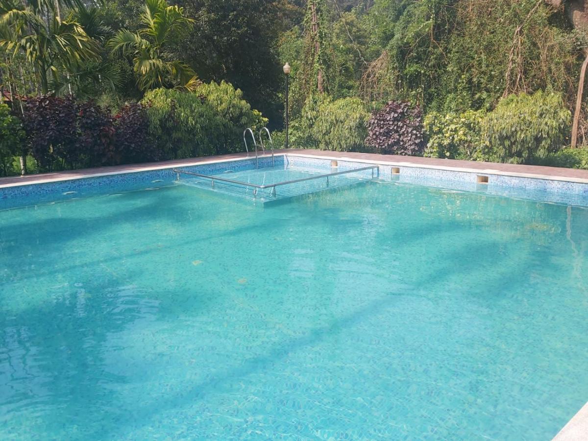 Ezzenza Areca Resort 马迪凯里 外观 照片