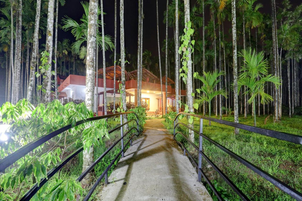 Ezzenza Areca Resort 马迪凯里 外观 照片