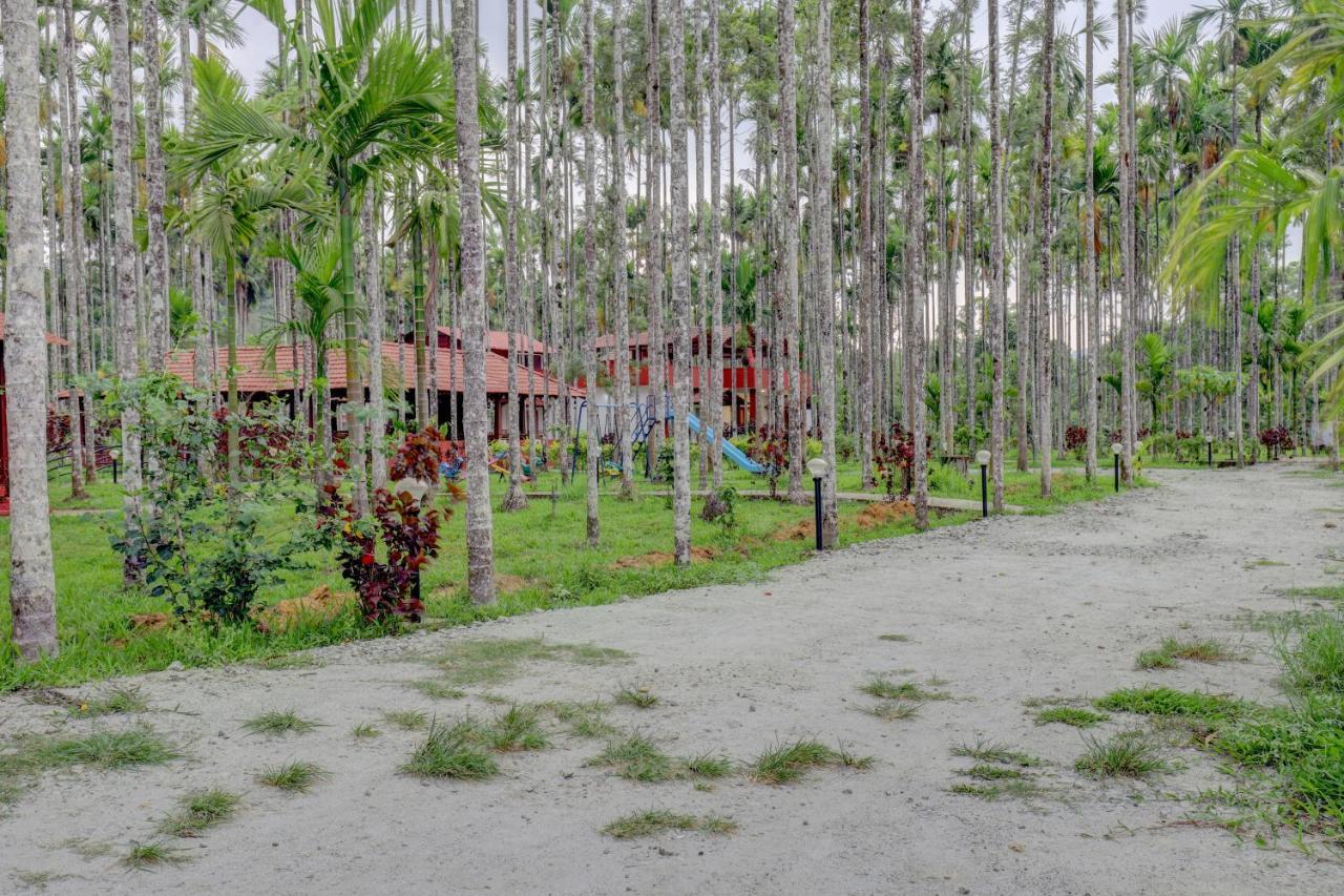Ezzenza Areca Resort 马迪凯里 外观 照片